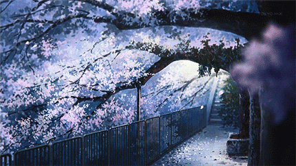 430_242gif 动态图 动图