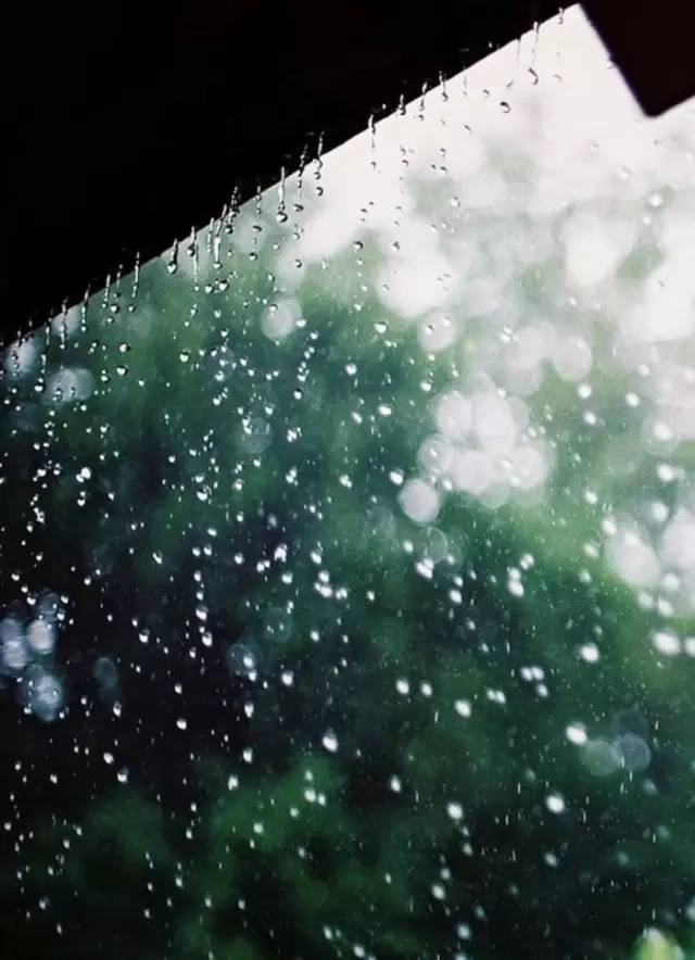 今夜,有雨敲窗  穿过夜静的墨色  滴滴答答落在我的窗台  滴嗒的回音