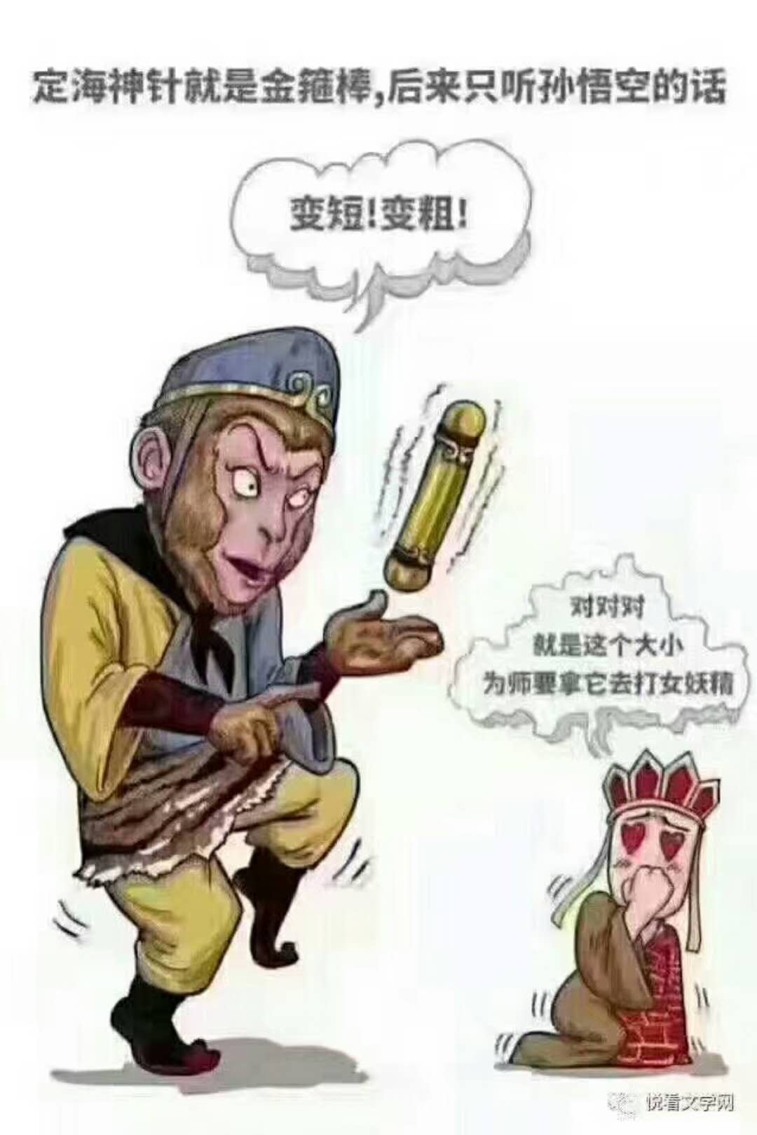 一根定海神针引出的七个私生子