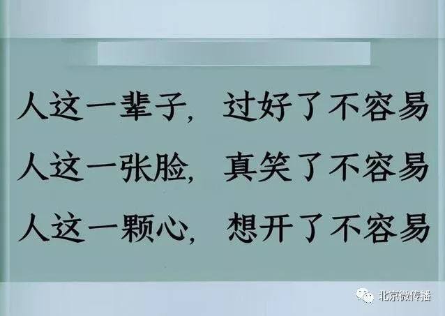 什么都不要去回顾 那种已在记忆之中的东西 是最撩人心思摇曳 摇曳的