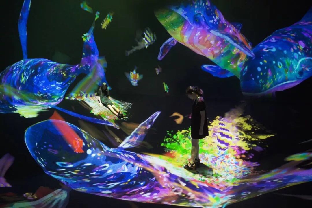 摆脱低俗声光电,来 teamlab 展体验高科技遛娃