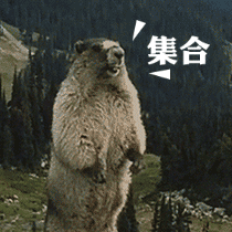 可爱的熊大