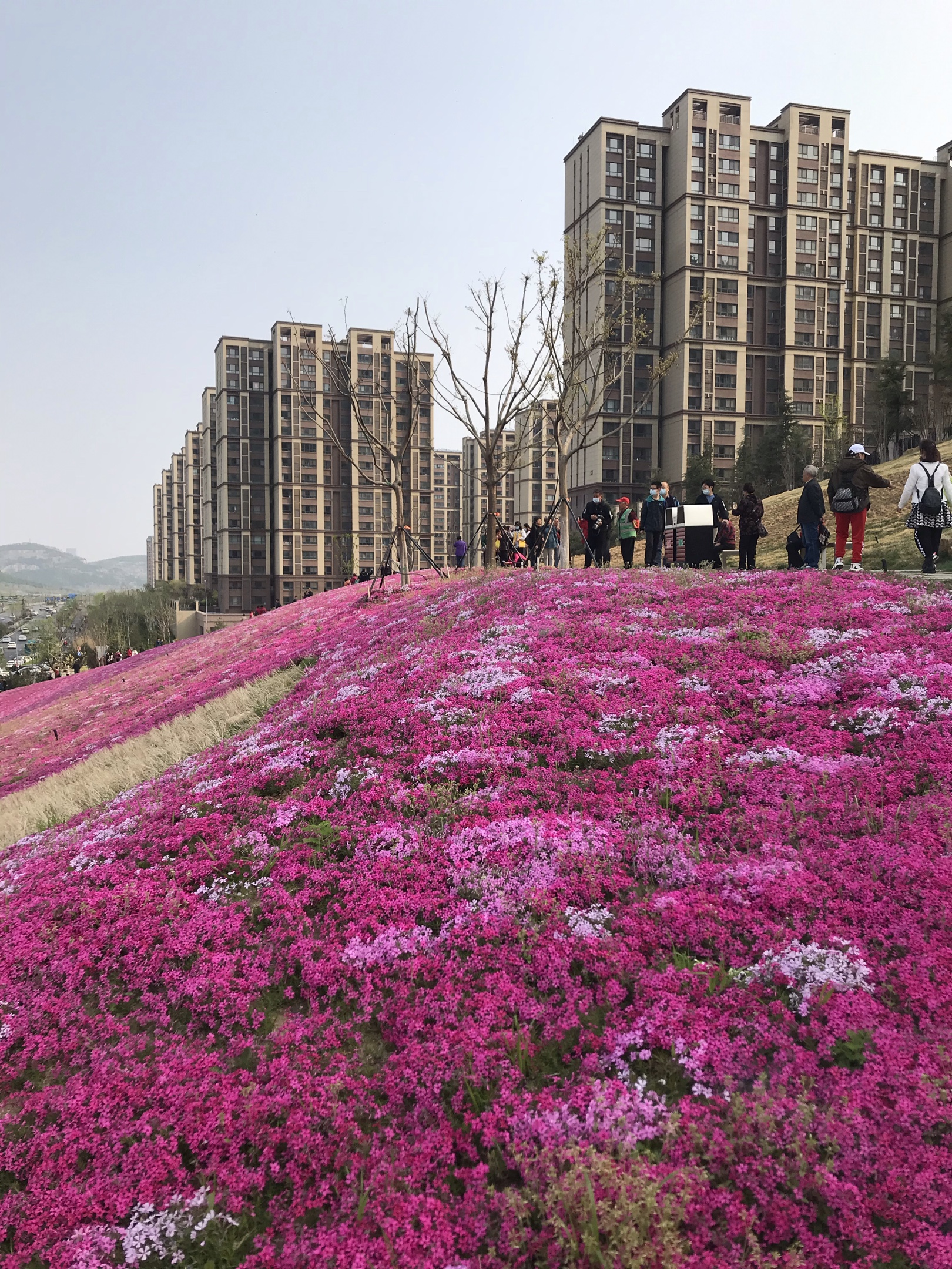 济南网红打卡地鼎秀家园