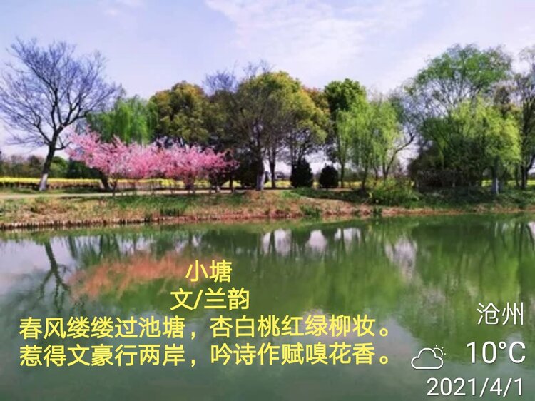 《兰韵》诗词《题图诗》专辑九