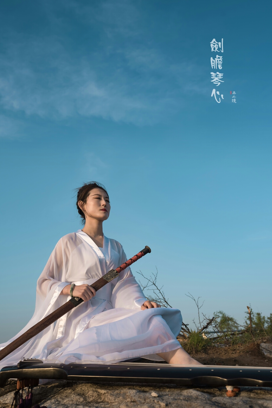 剑胆琴心