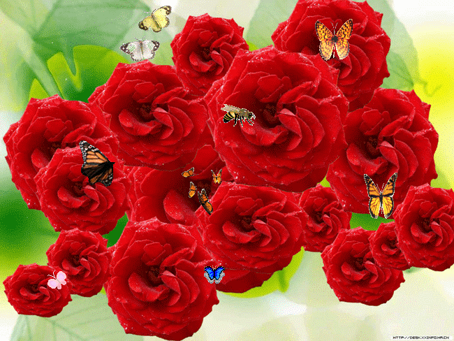 书画欣赏,12月花,12幅书法,美极了!