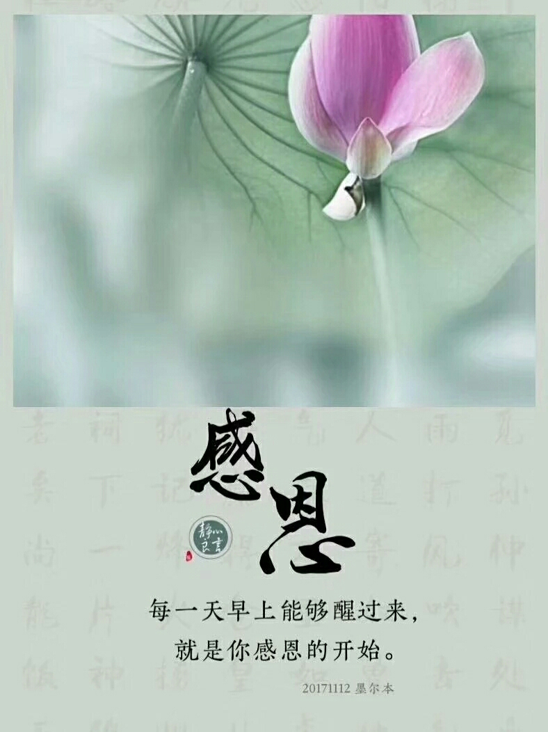 我们要将自己的孝心有所归属,学佛的慈悲,要珍惜父母对你的爱,不要把