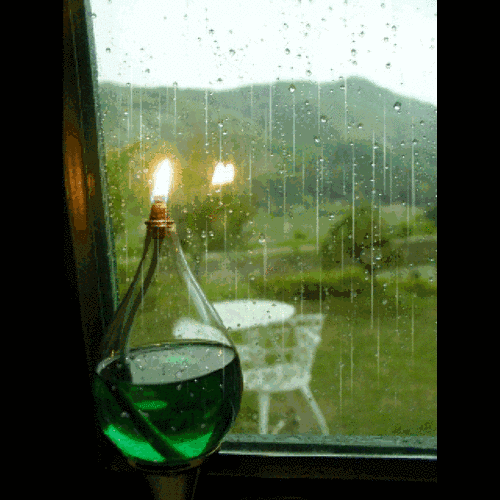 真情谊永远风雨同行