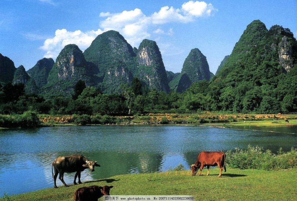 山水恋情
