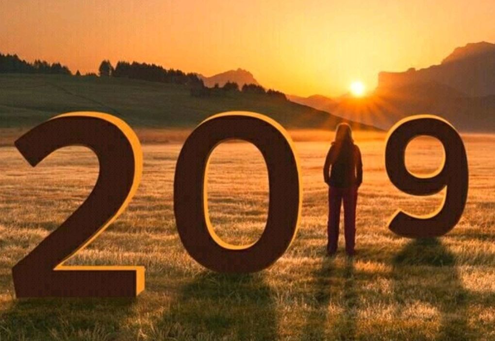 ټ2018 2019