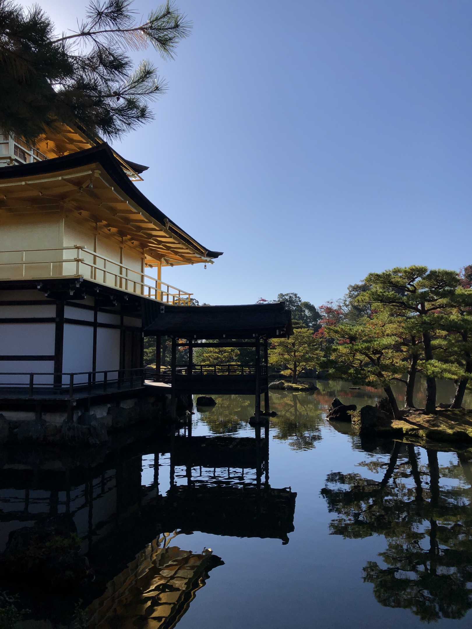 日本旅行6京都金阁寺银阁寺