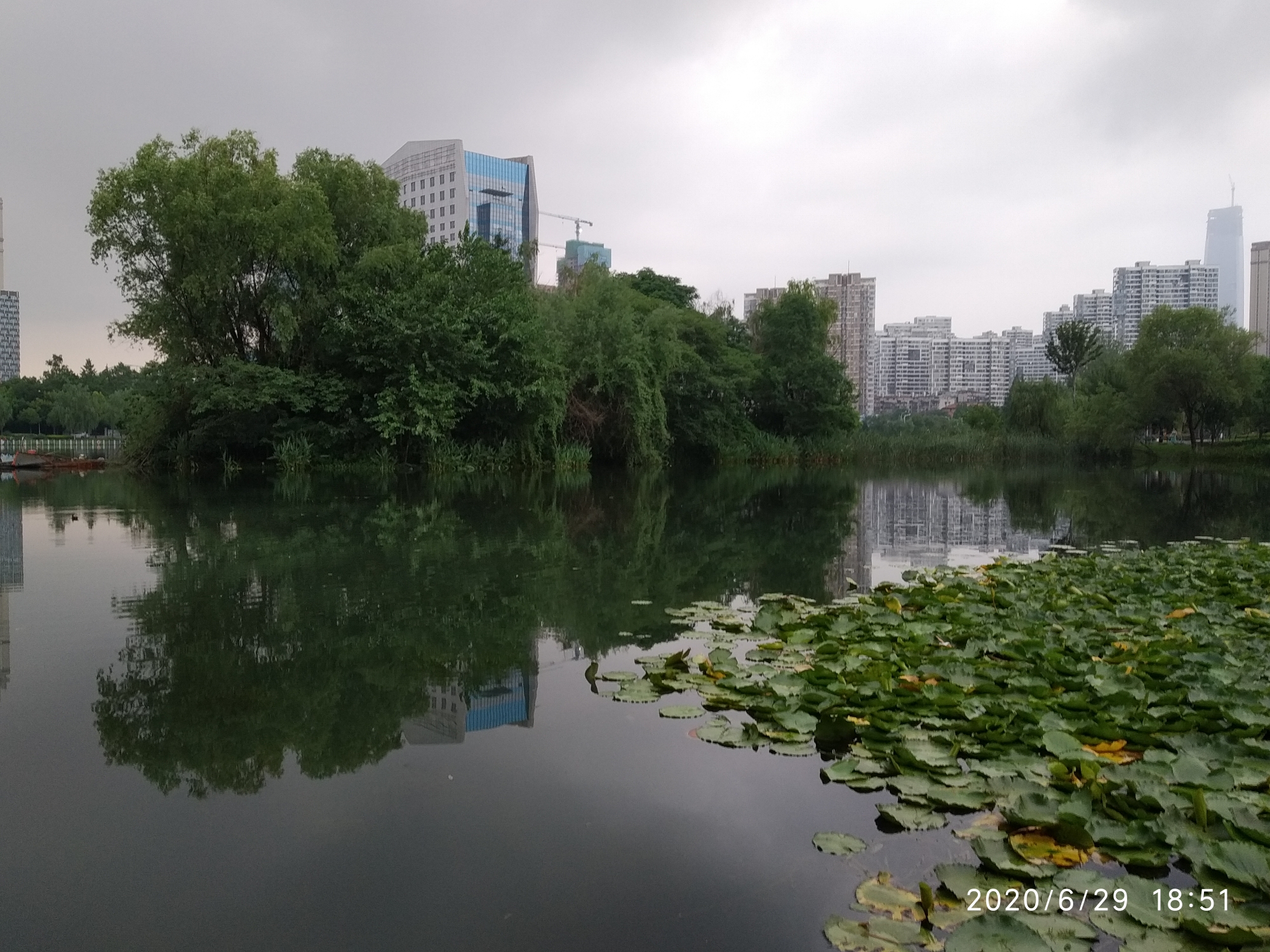 雨后——作者 陈敬容