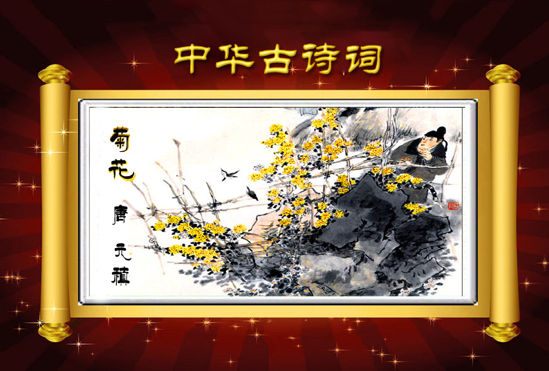 古诗词鉴赏:菊花【唐】元稹朗诵丹青