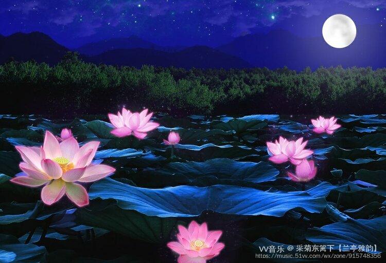 荷塘月色(一绝一律)