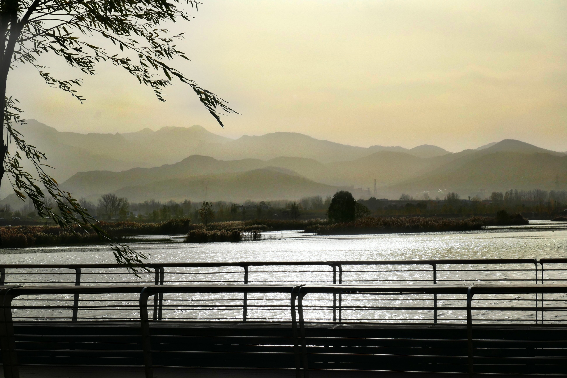 泰安汶河湿地公园,美景如画