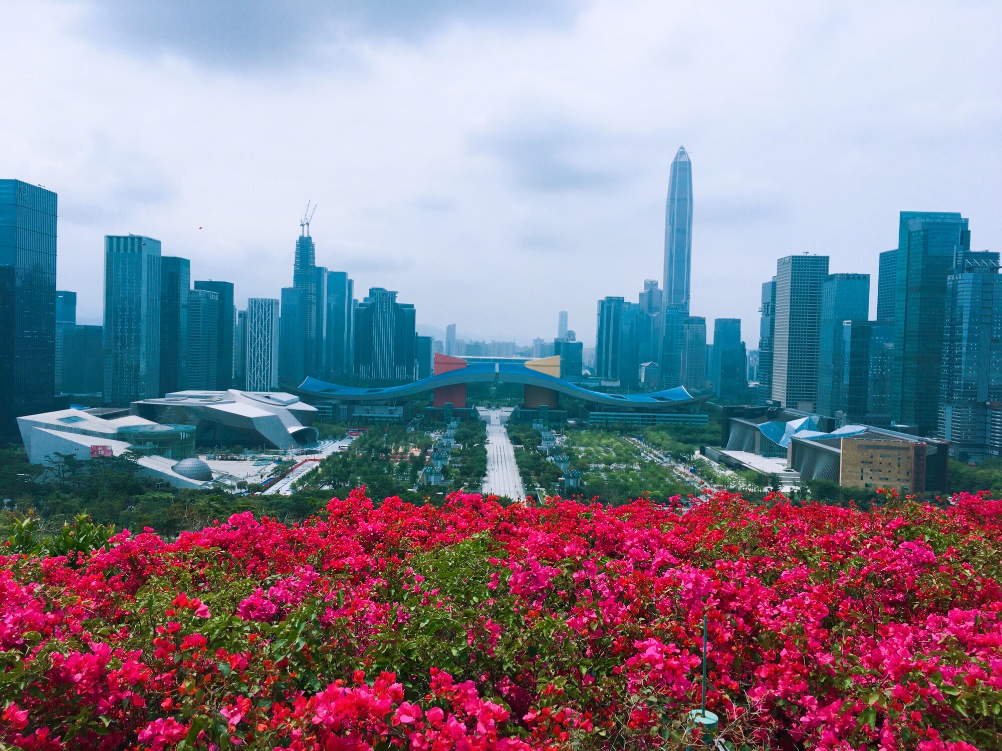 大潮起珠江 深圳立潮头