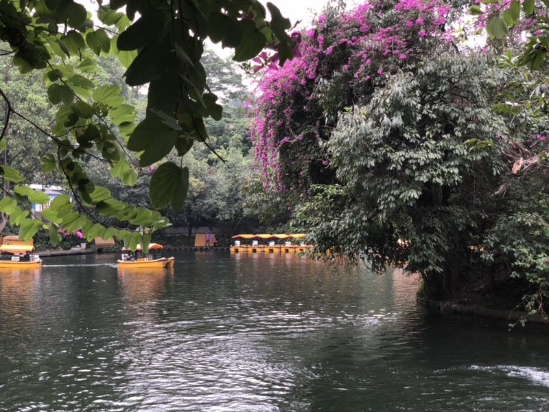 广州越秀公园