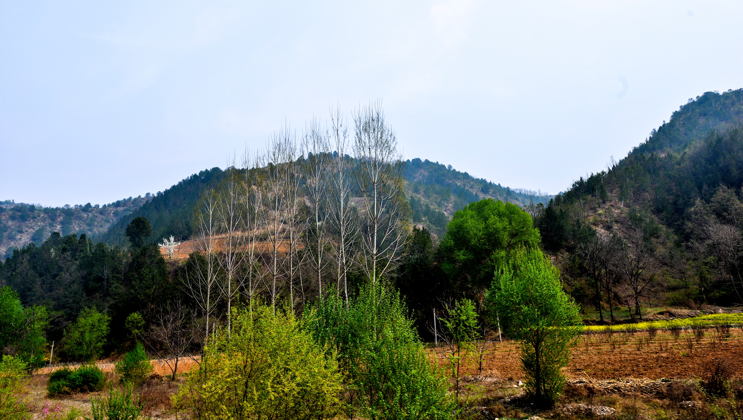 朱阳后山,有我们同伴