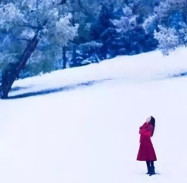 冬雪