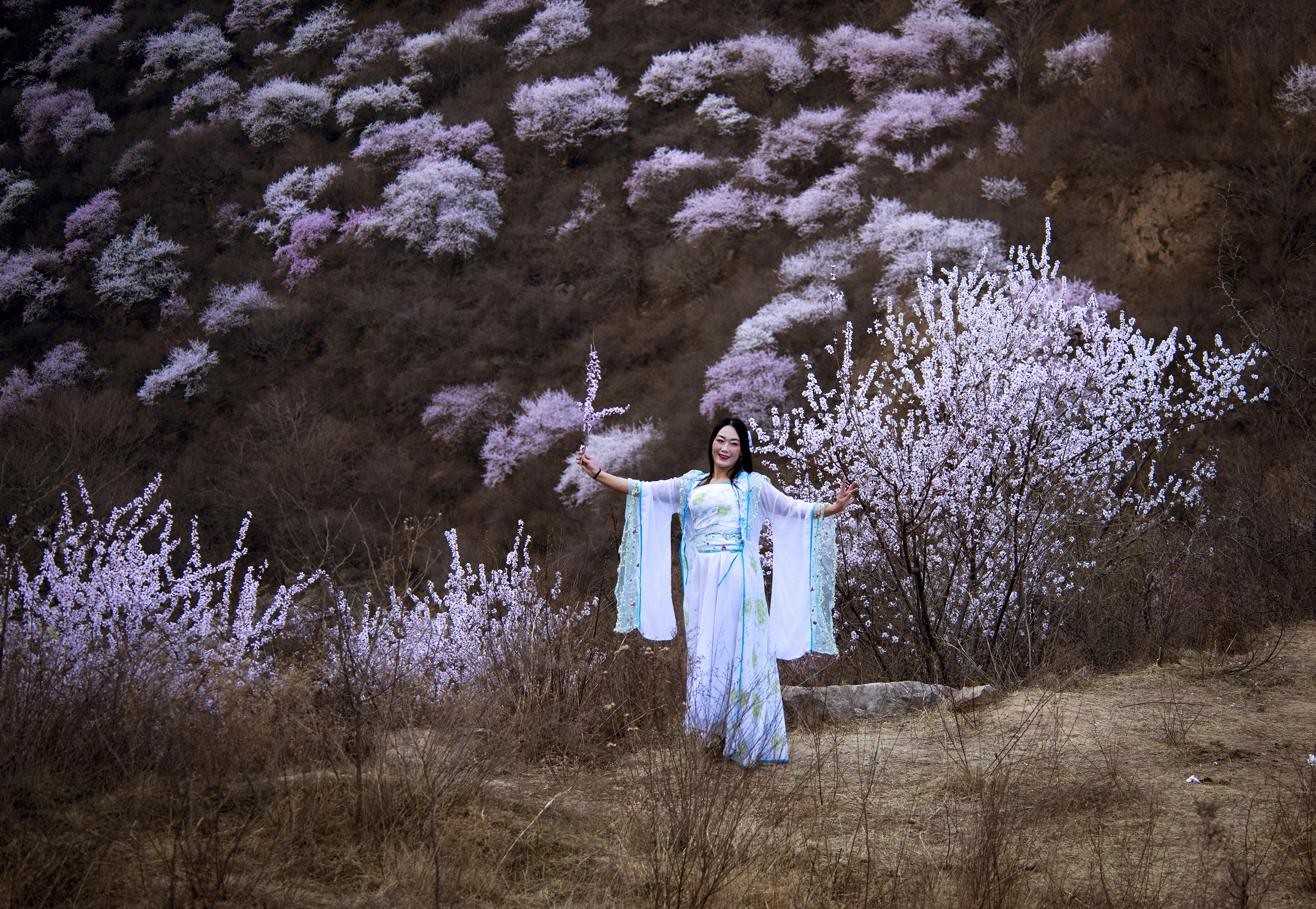 人像摄影——十里桃花映面红