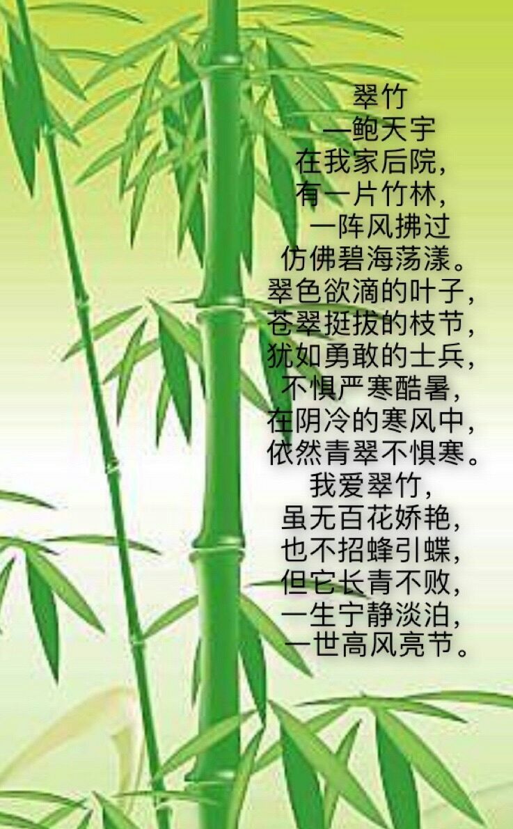 《繁星·浪花》中泰中心小学405班短诗集(二―诗歌,让我们用明亮的