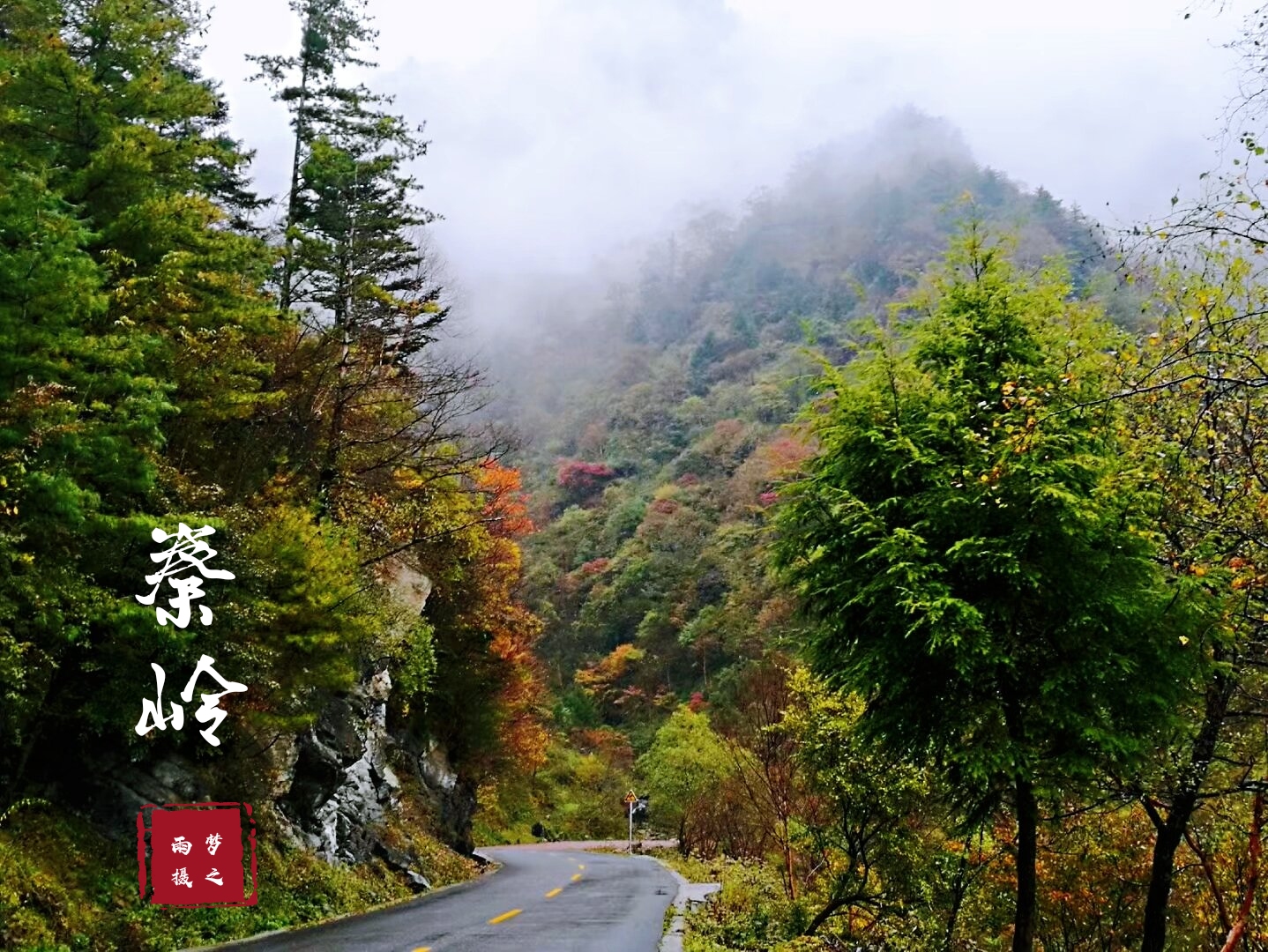 [首发 秦岭景色