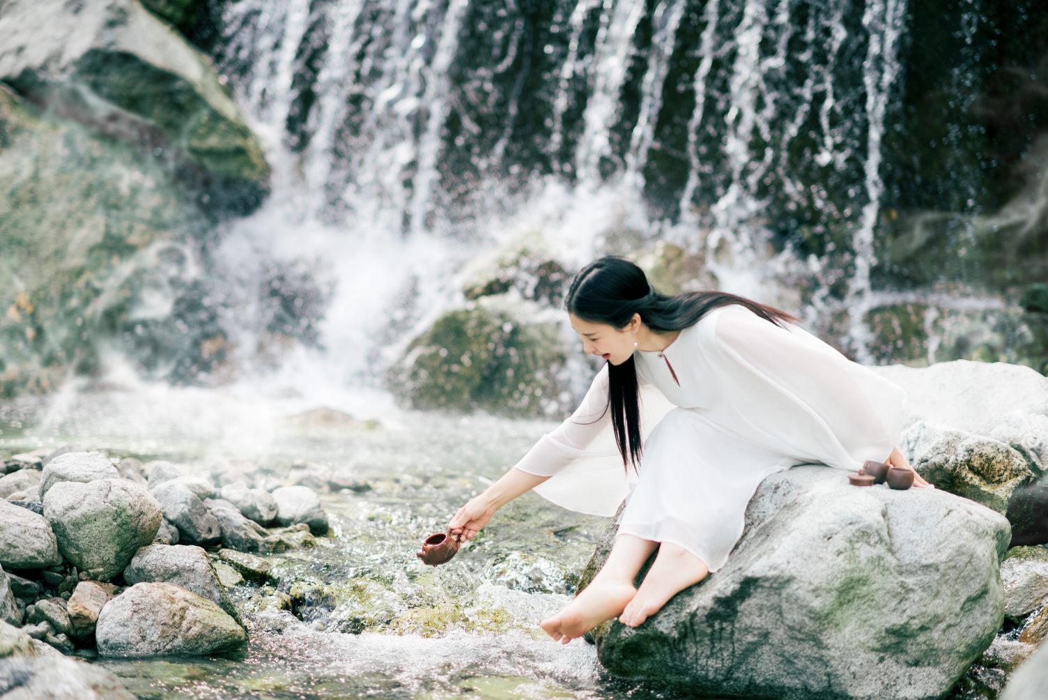 茶仙女
