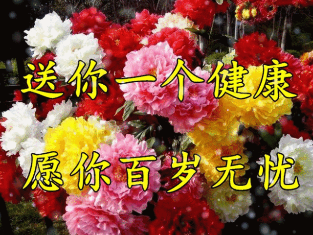 您好欢迎光临          2021年1月5日庚子年农历冬月廿