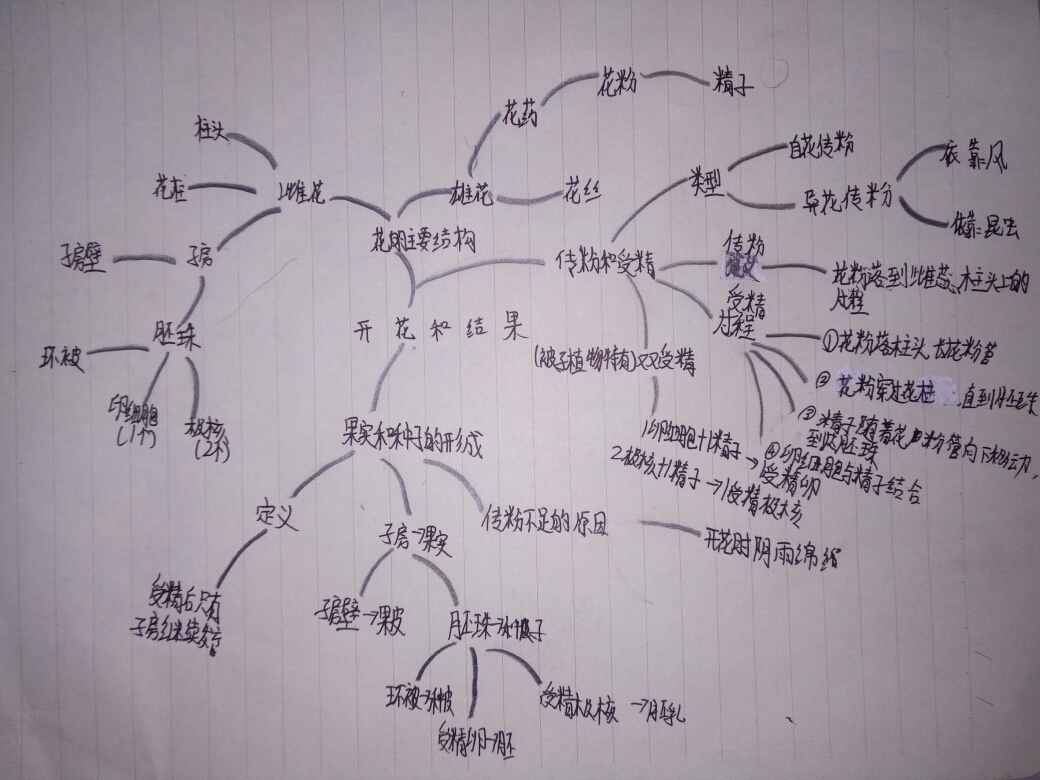 顺着思路,绘出脉络清晰的思维导图