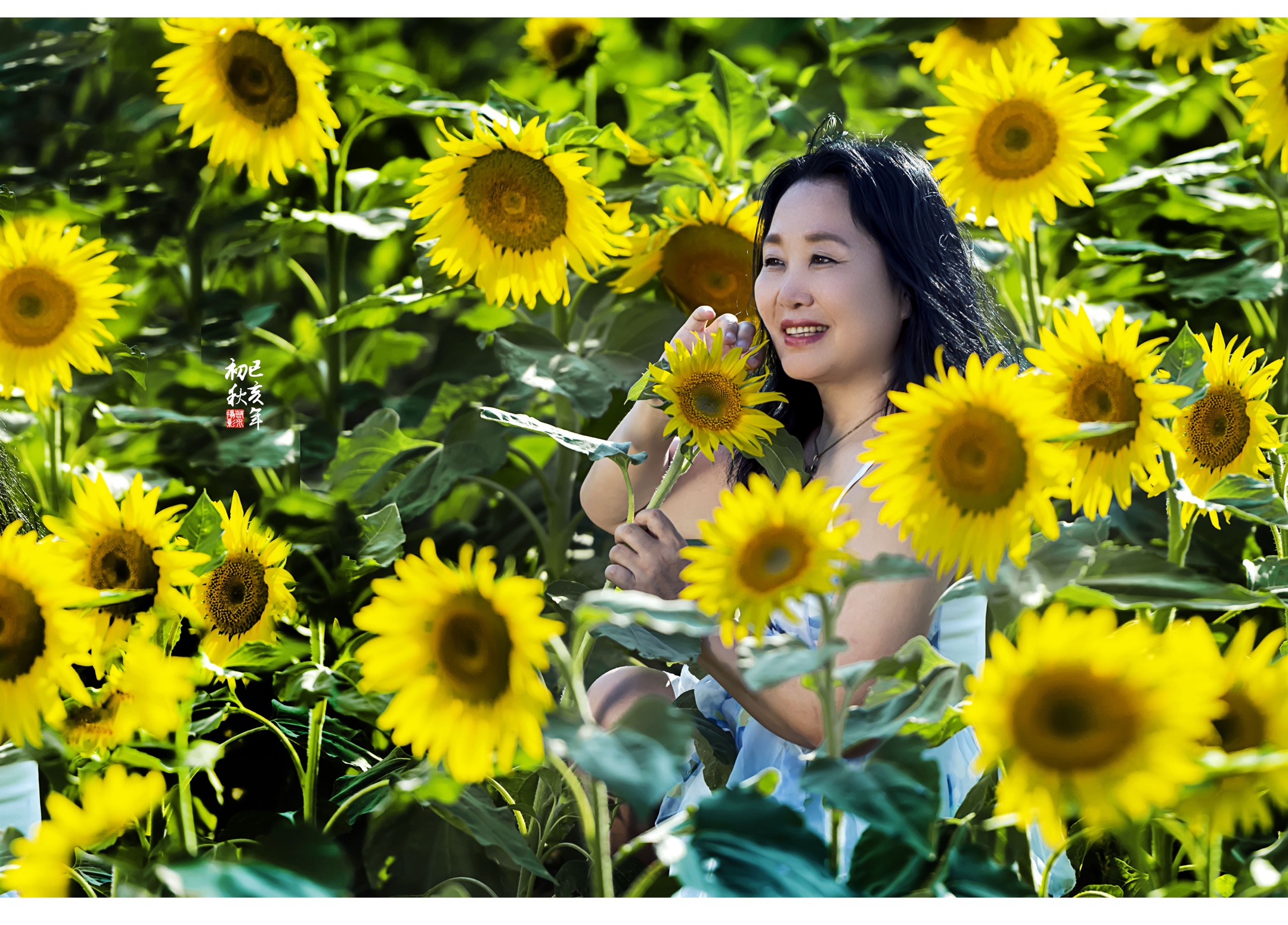 站在夏日的微风里,面向灼灼盛开的葵花,满心都是激动与喜悦,满眼都是