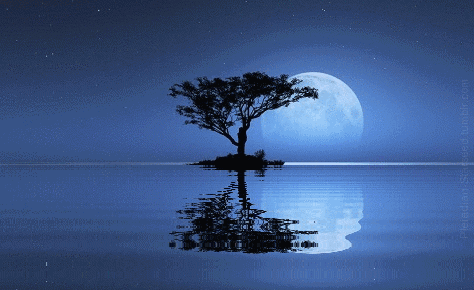 壁纸 桌面 474_290 gif 动态图 动图