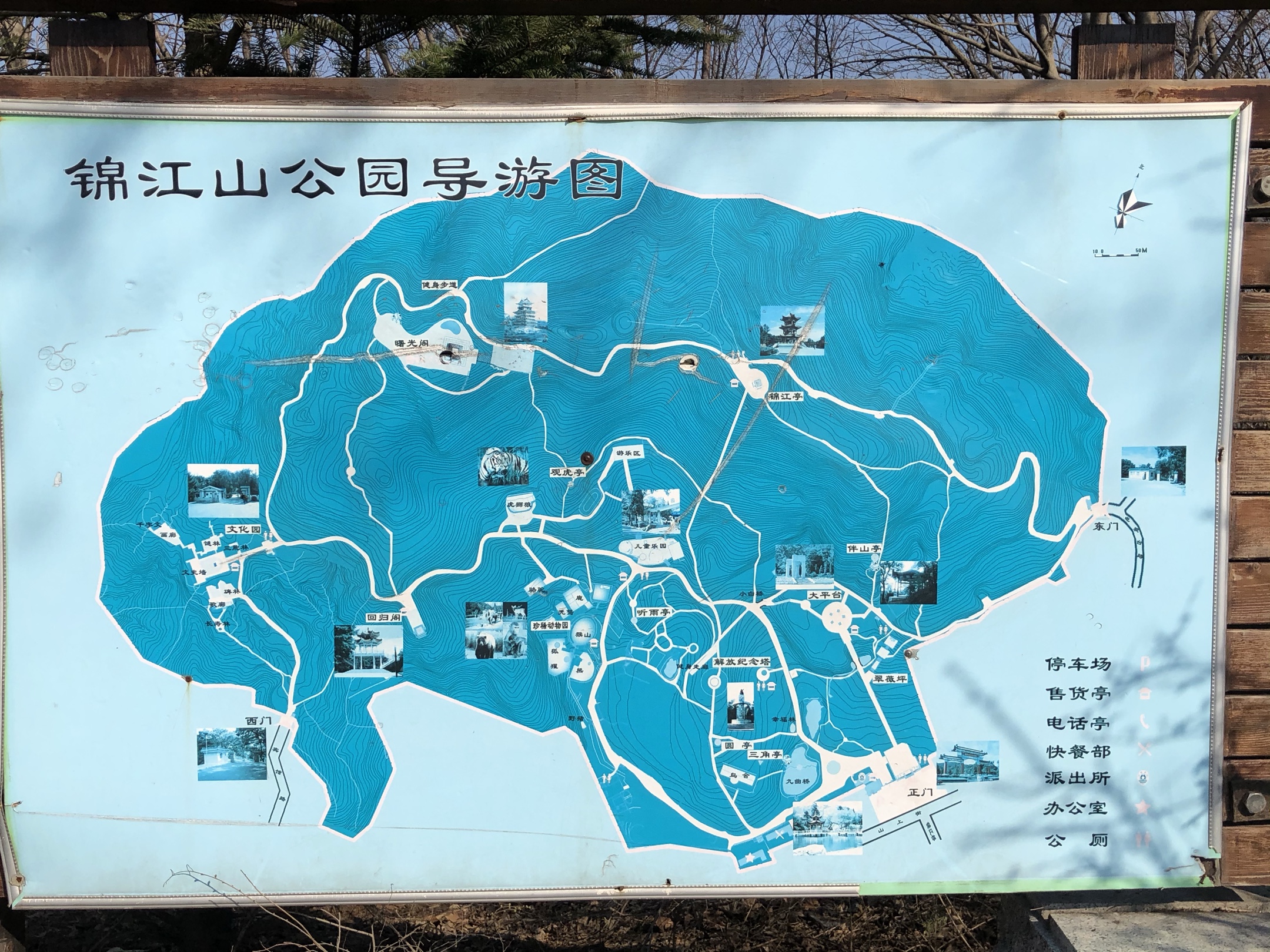 《春游锦江山公园》