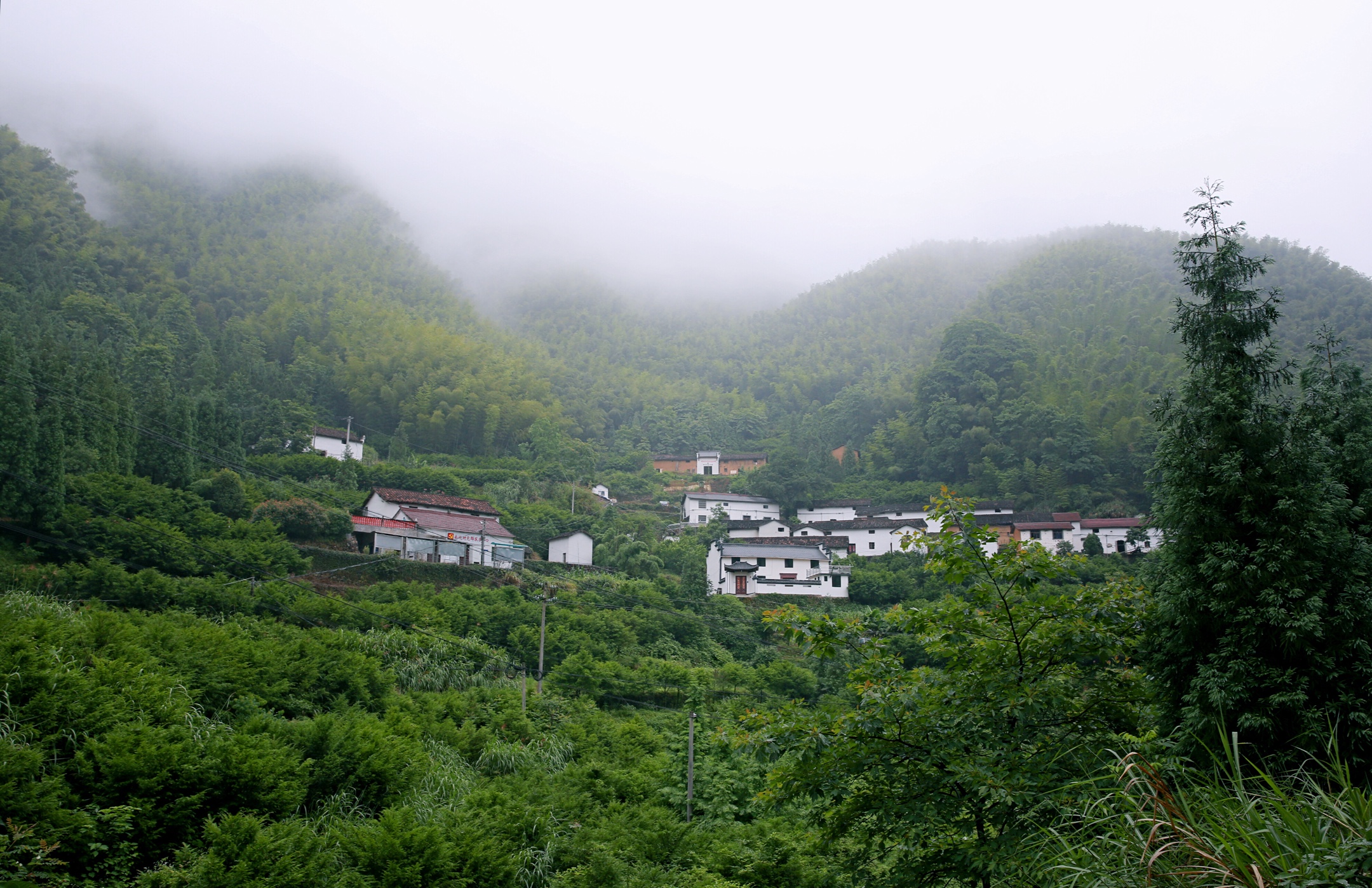 《美丽山村待君来》革命老区塔石乡上南坑村行记