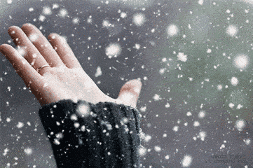 2.22   宅家的我,望向窗外 哇,柔柔的雪花,又飘起来啦!