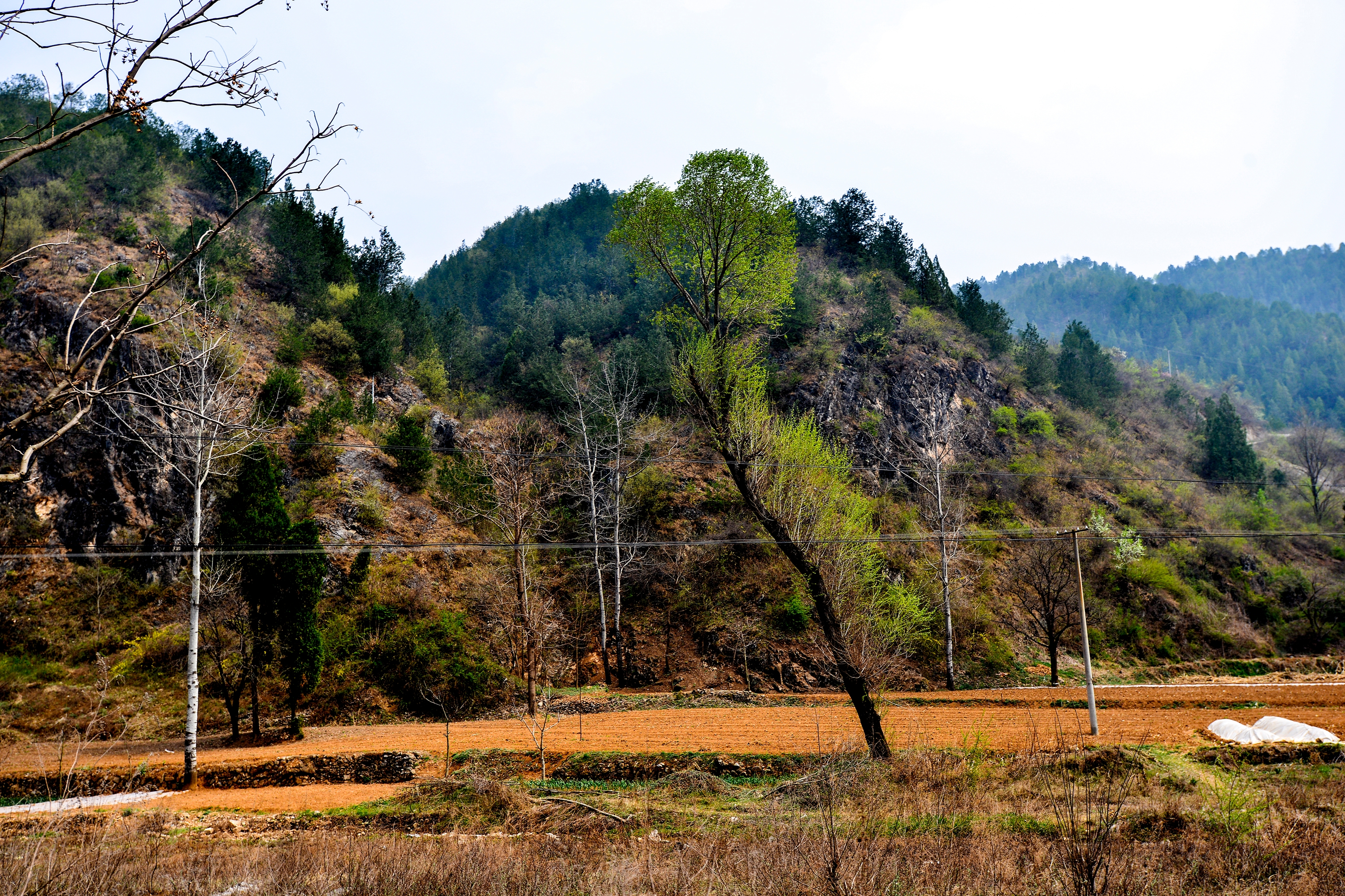 朱阳后山,有我们同伴