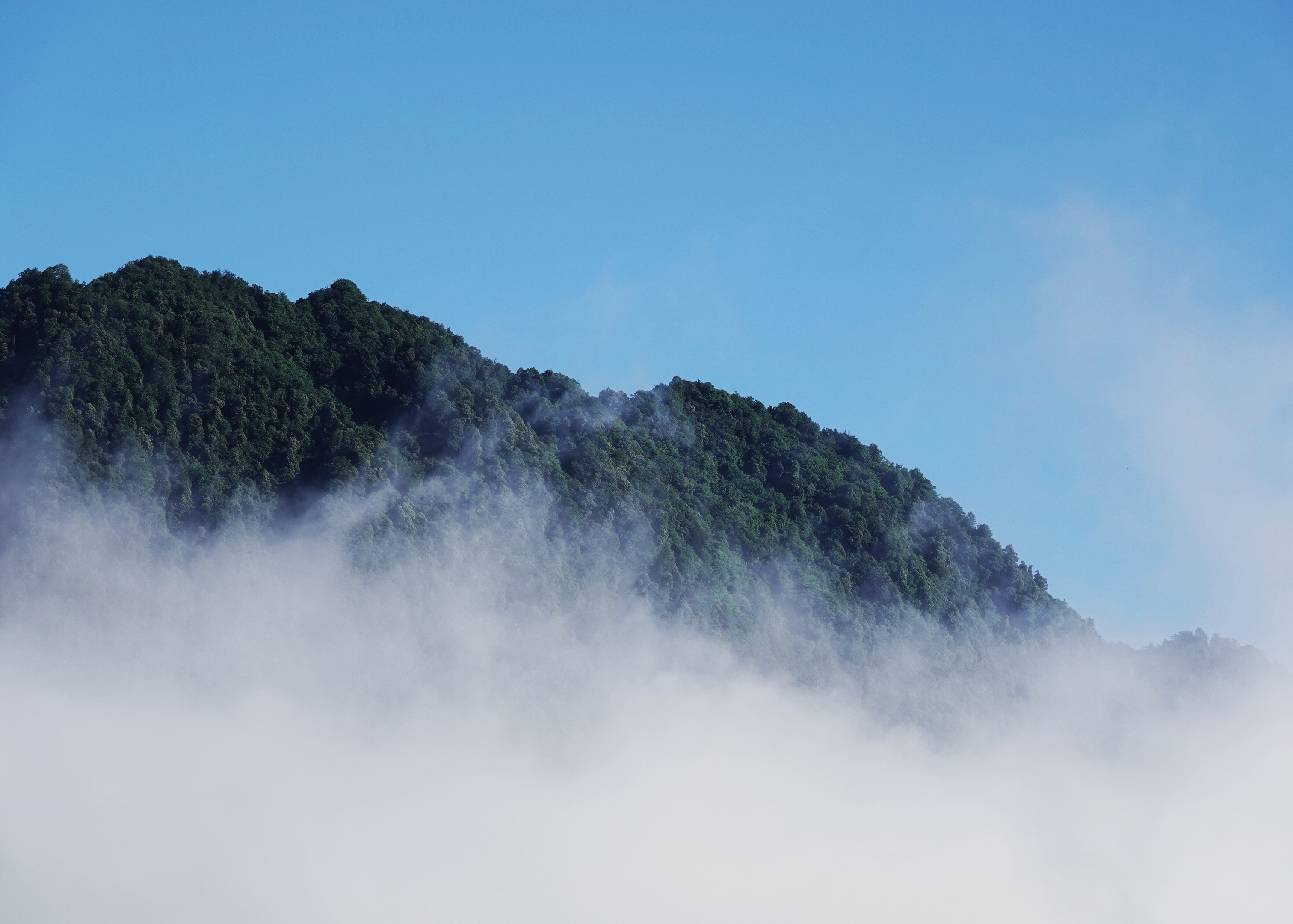 南宝山位于四川省邛崃市,海拔700至2000多米,是一处人少景美