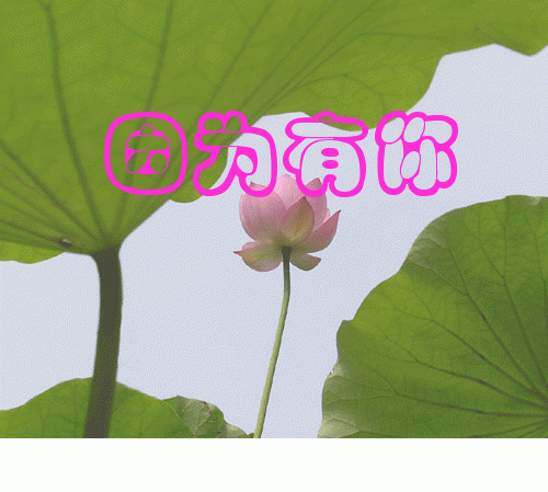 有你,真好!