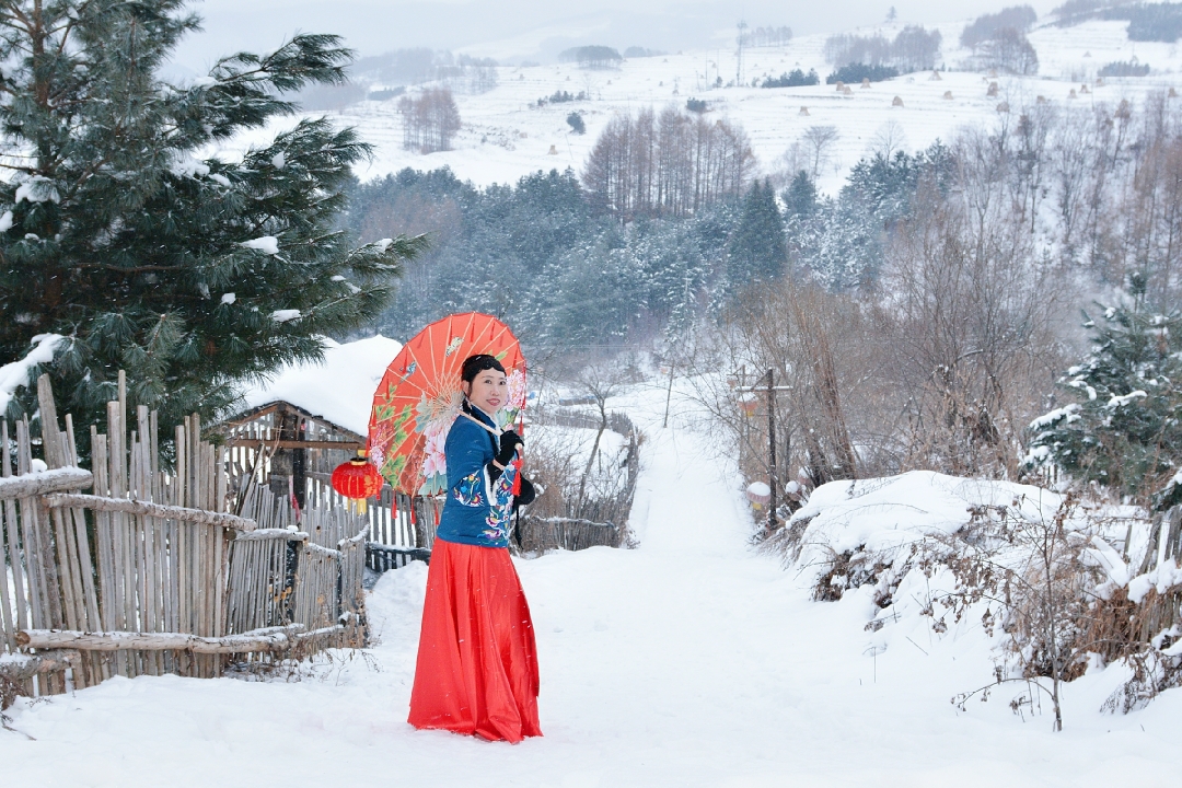 又见雪花飞