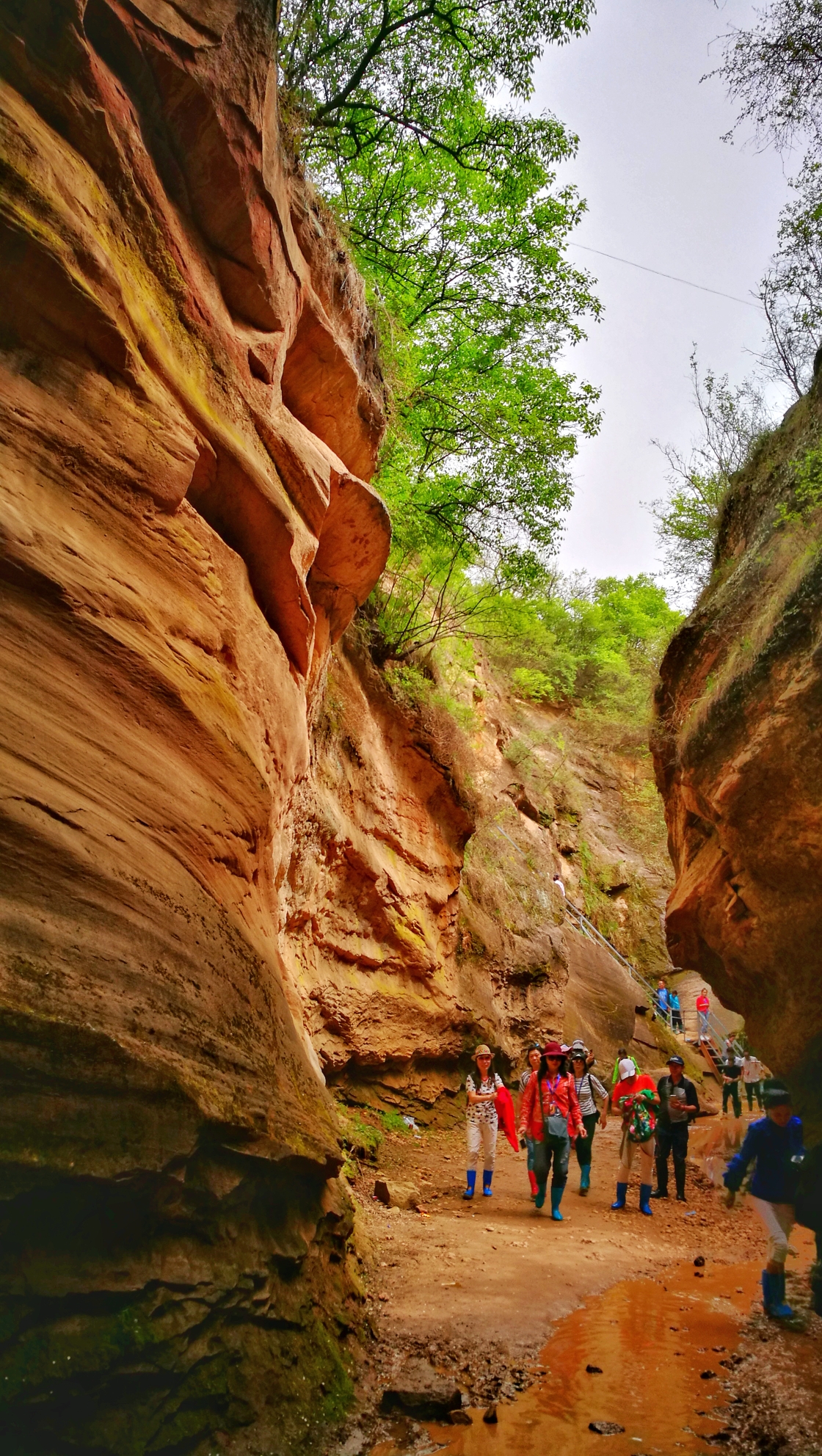 陕北甘泉雨岔大峡谷(手机)