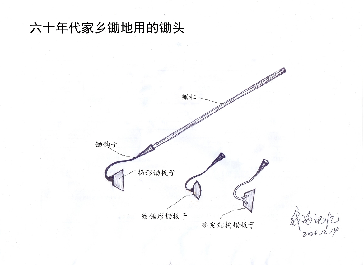 锄头是农民手里的一个重要工具,我的家乡在东北,这里使用的