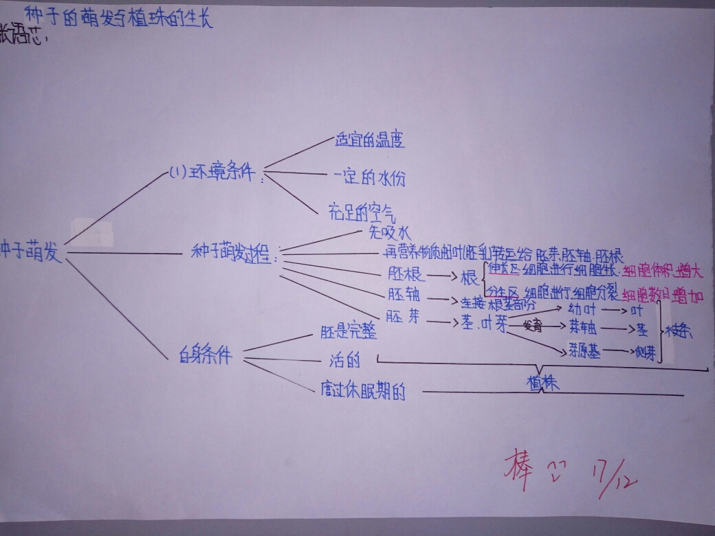 顺着思路绘出脉络清晰的思维导图