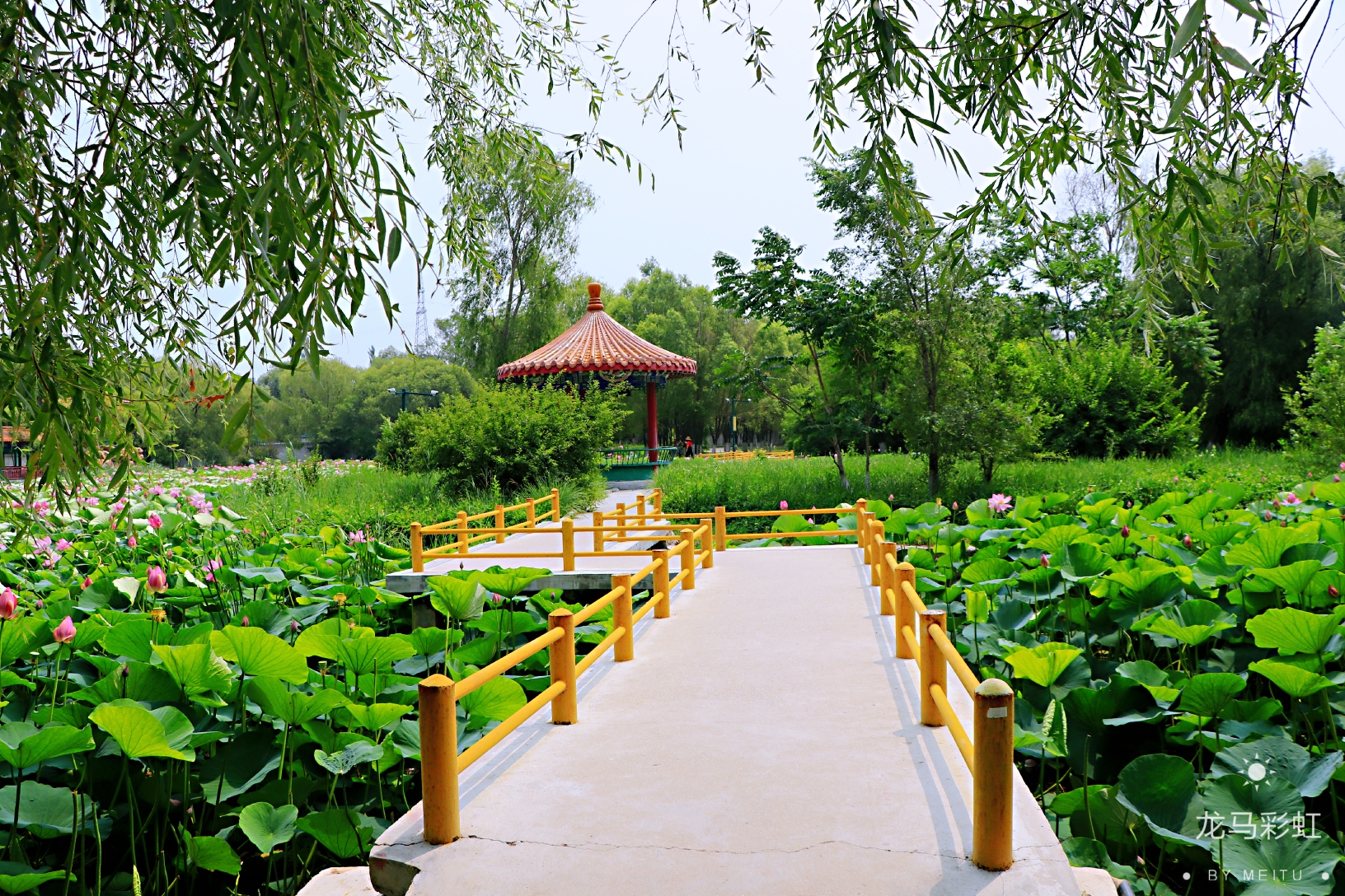 盘锦湖滨公园