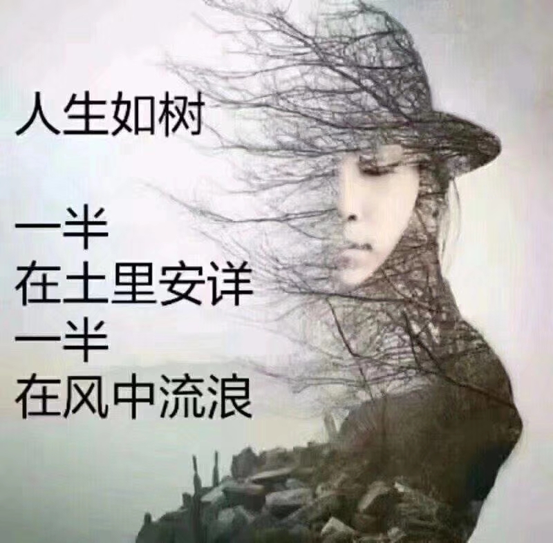 心若相知,心自暖, 人若相惜,人不离.