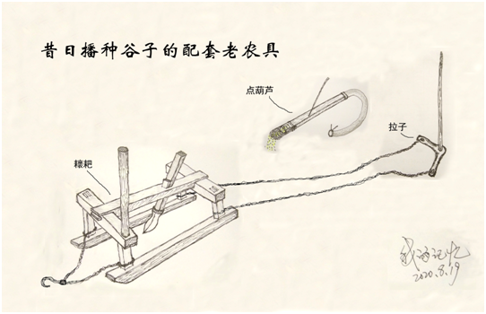 耲谷子必须使用的配套农具有耲耙,点葫芦筒子和拉子(如草图所示.