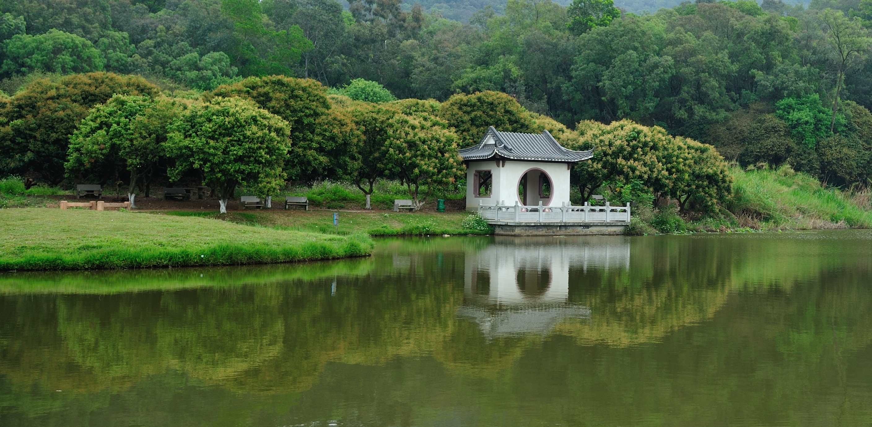 美丽东莞之同沙生态公园