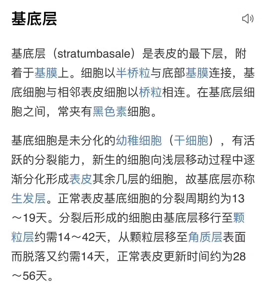 它是表皮新陈代谢的源头由基底母细胞和黑色素母细胞组合成具有分裂