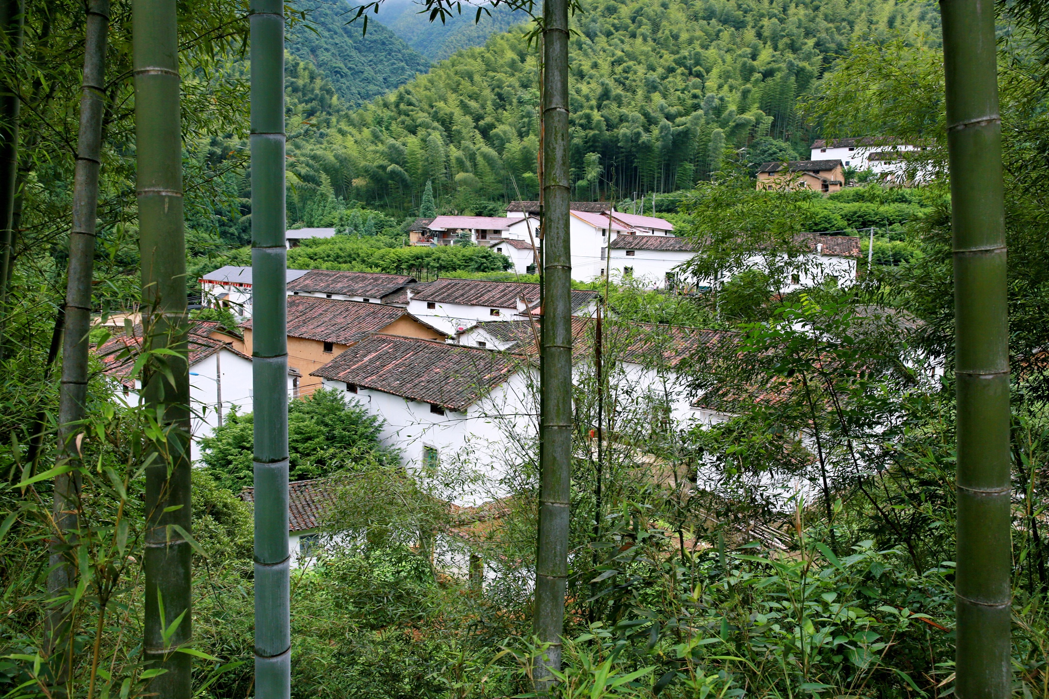 《美丽山村待君来》革命老区塔石乡上南坑村行记