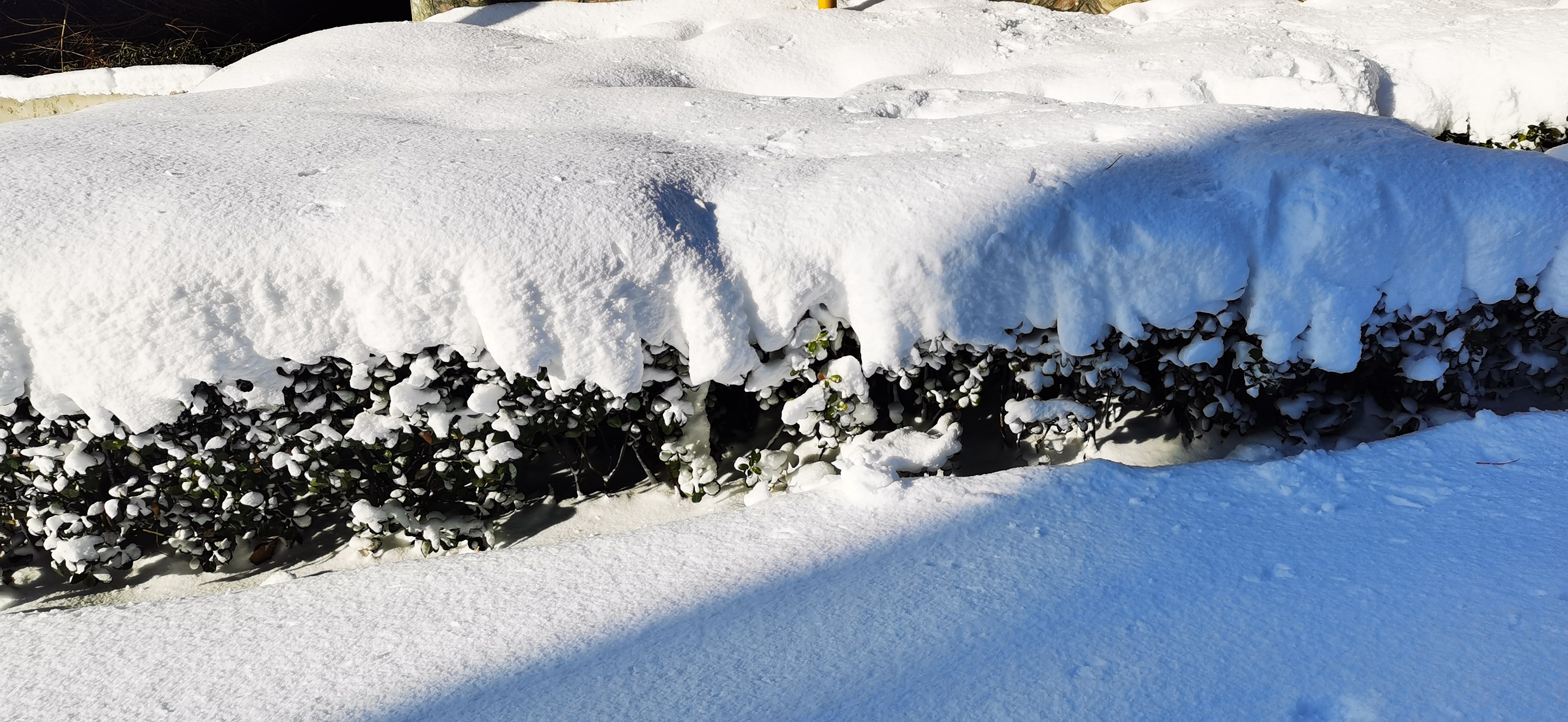 雪窝烟台惊艳全国