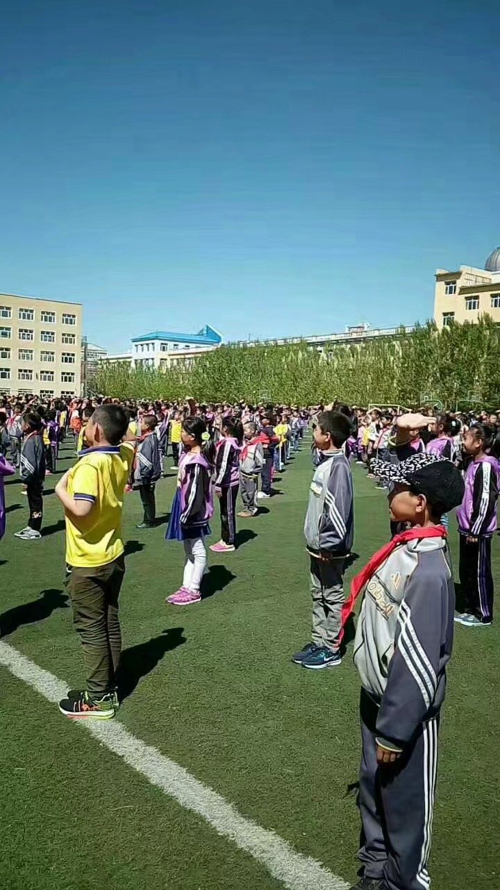 再见了母校