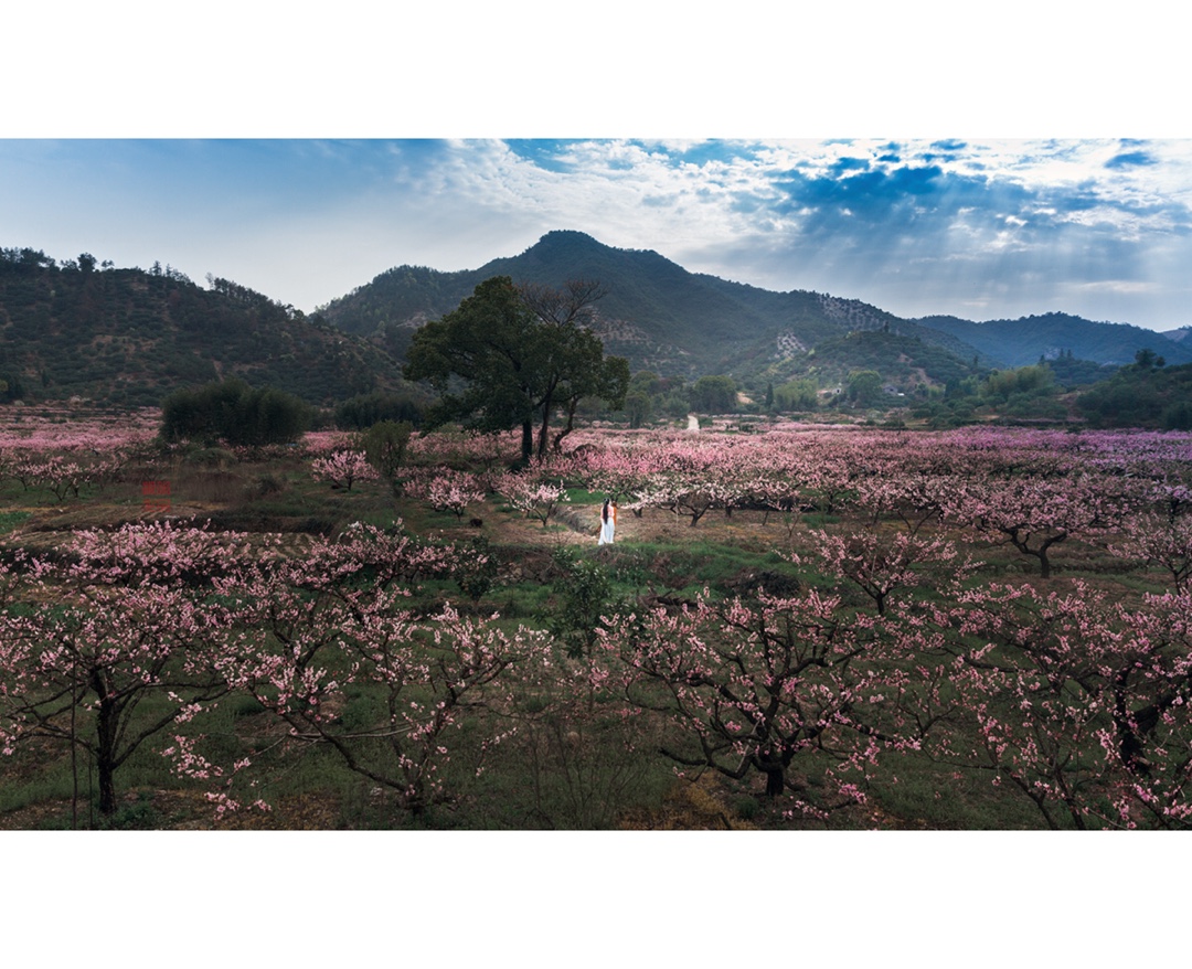 灼灼桃花,烟烟霞霞